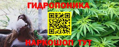 гидропоника Пенза