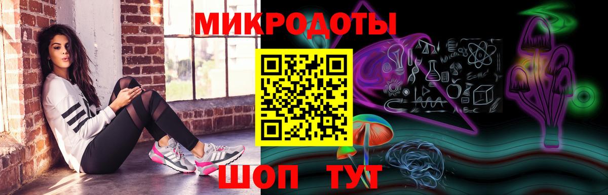 Псилоцибиновые грибы прущие грибы Тосно
