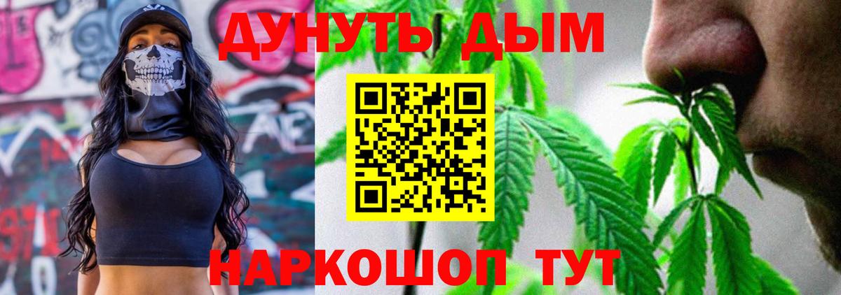 МАРИХУАНА план Тосно